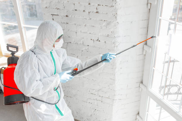 Best Asbestos and Lead Testing During Mold Inspection in USA